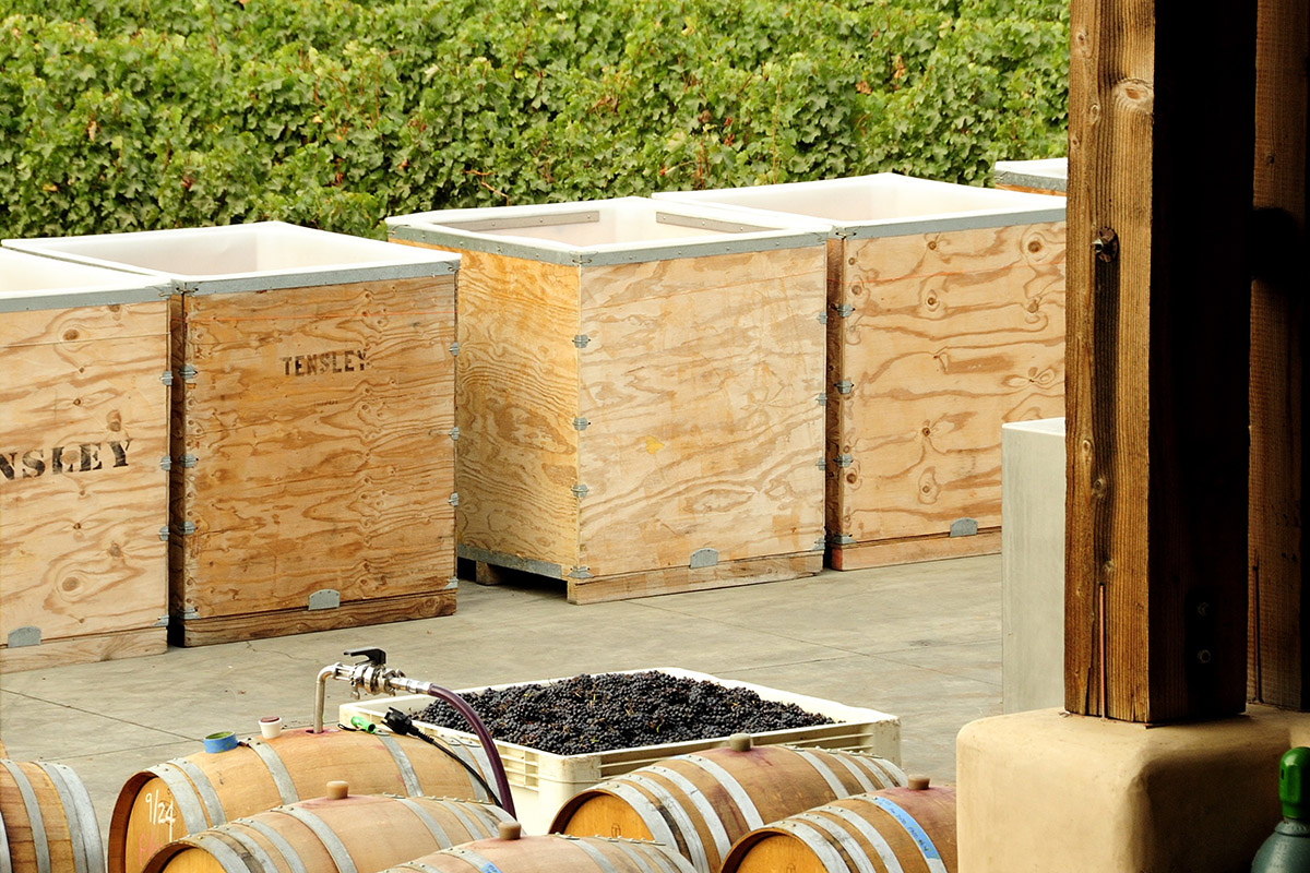 Cellar Club Tensley Wines